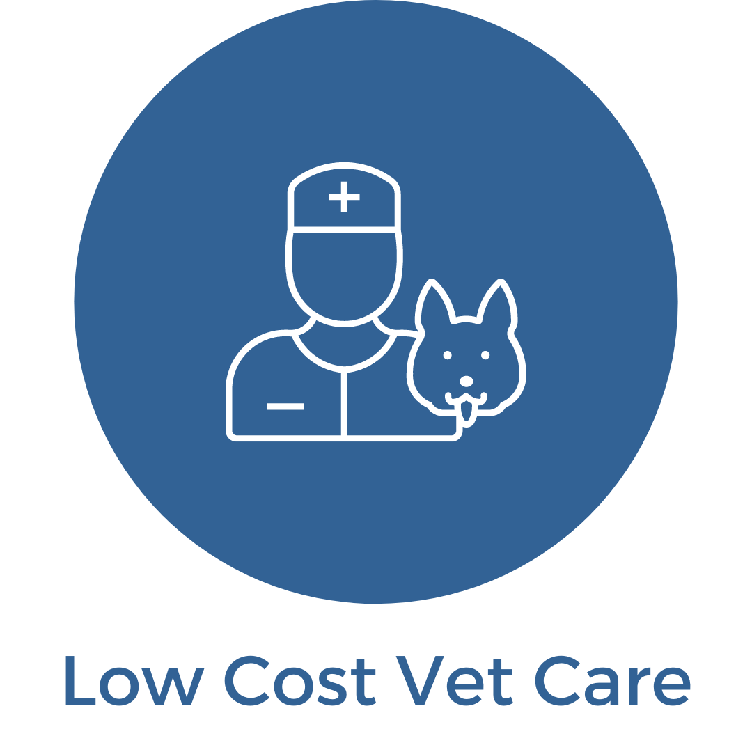 Low cost hot sale emergency vet care